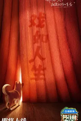 向往的生活第八季