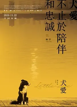 犬爱2019