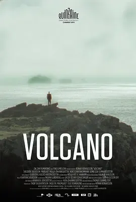 火山2011